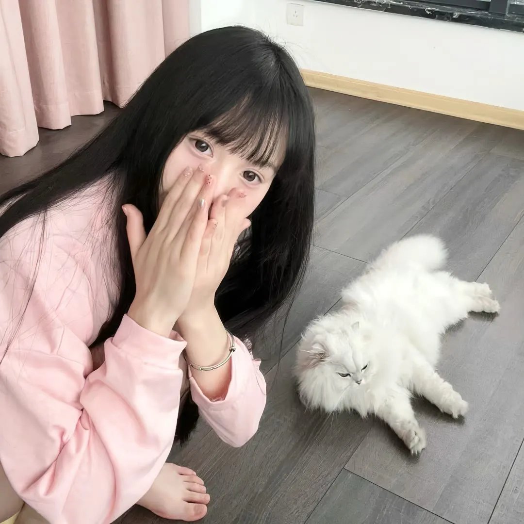 冰球小王子