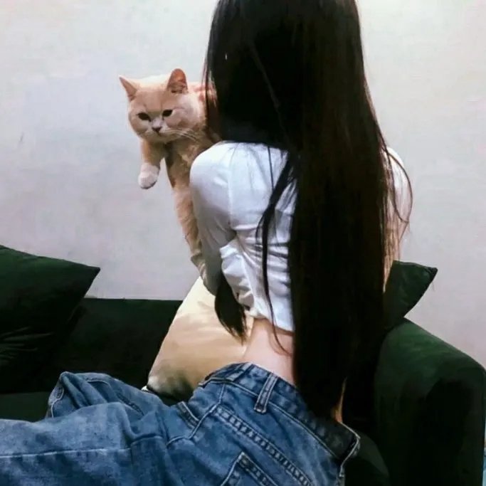 阿莫尔和马拉维塔